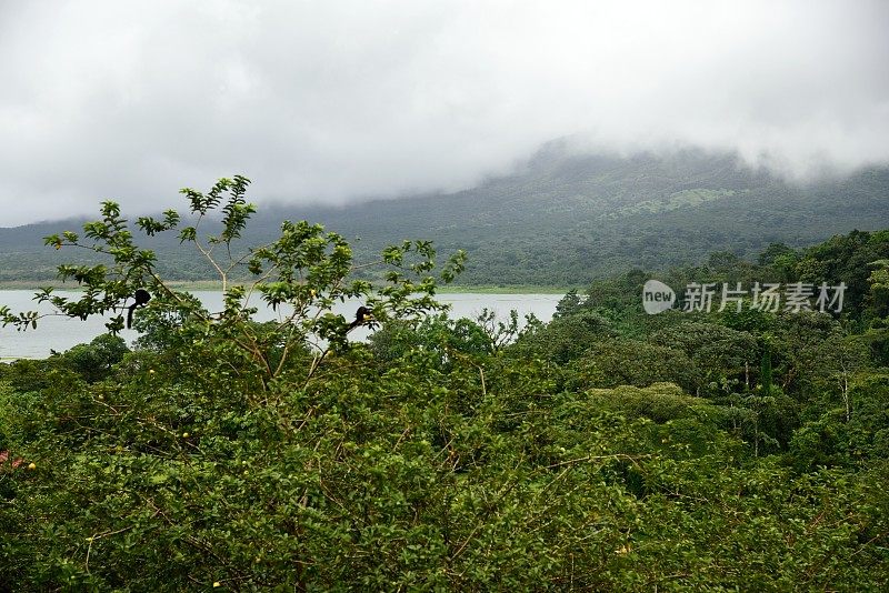 Arenal Vulcano乡村